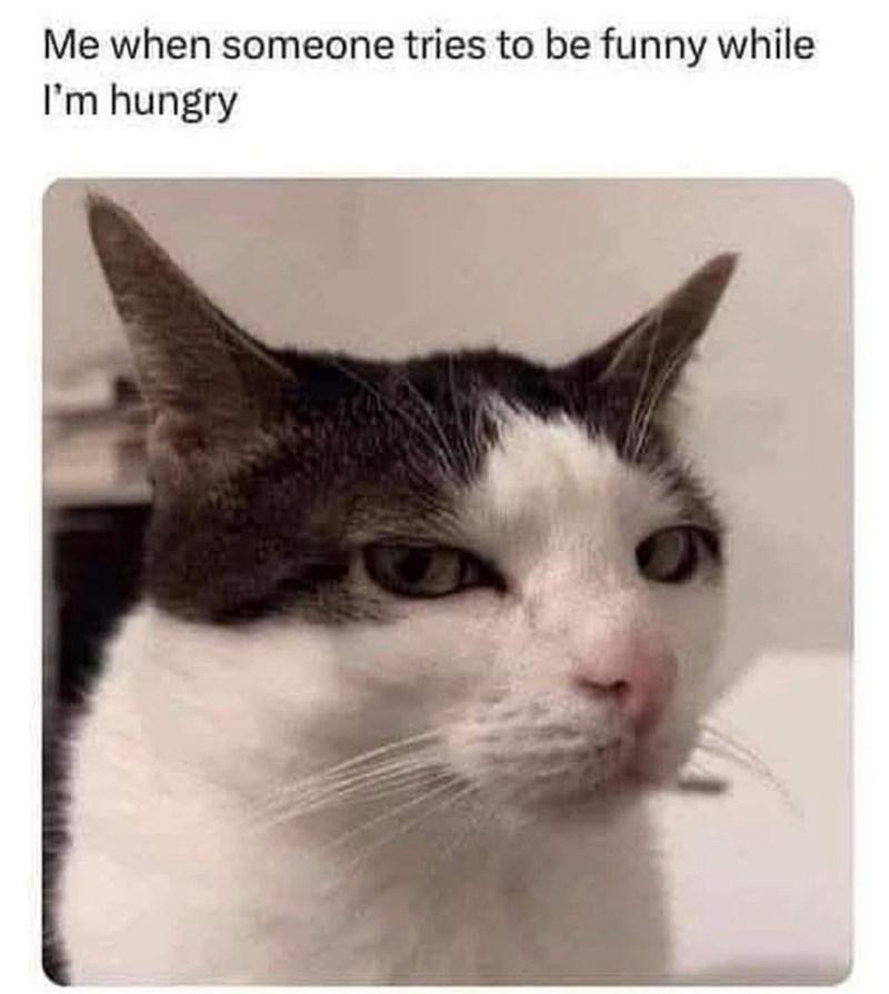 someone-tries-be-funny-while-hungry