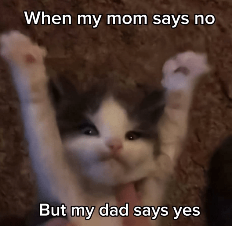 my-mom-says-no-but-my-dad-says-yes