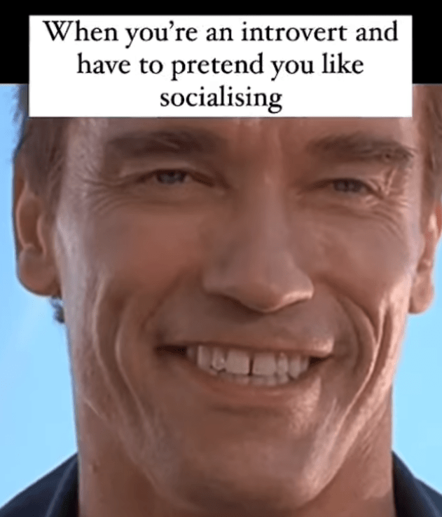 an-introvert-and-have-pretend-like-socialising-18