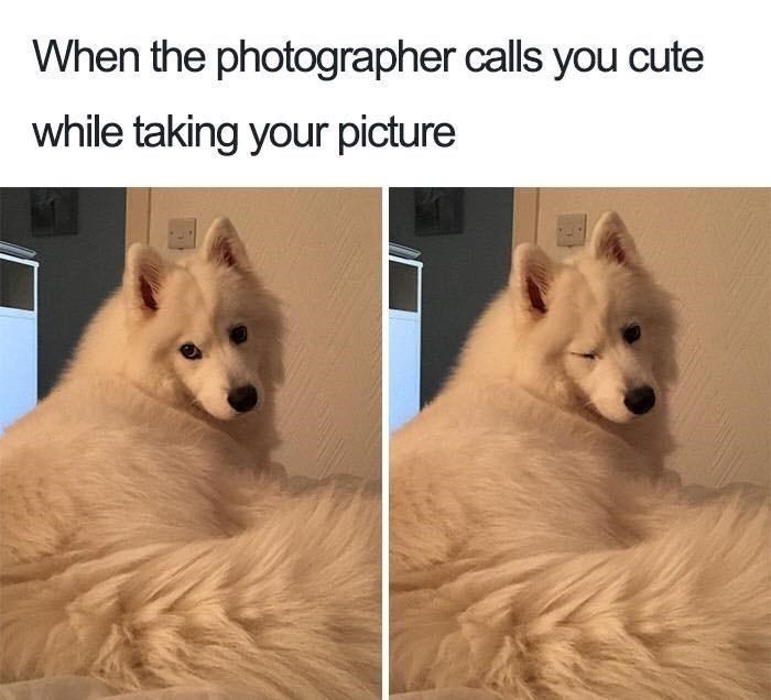 photographer-calls-cute-while-taking-picture