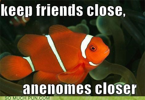 thanks-for-the-advice-nemo