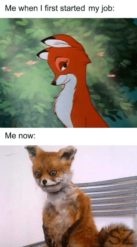 first-started-my-job-now-sz