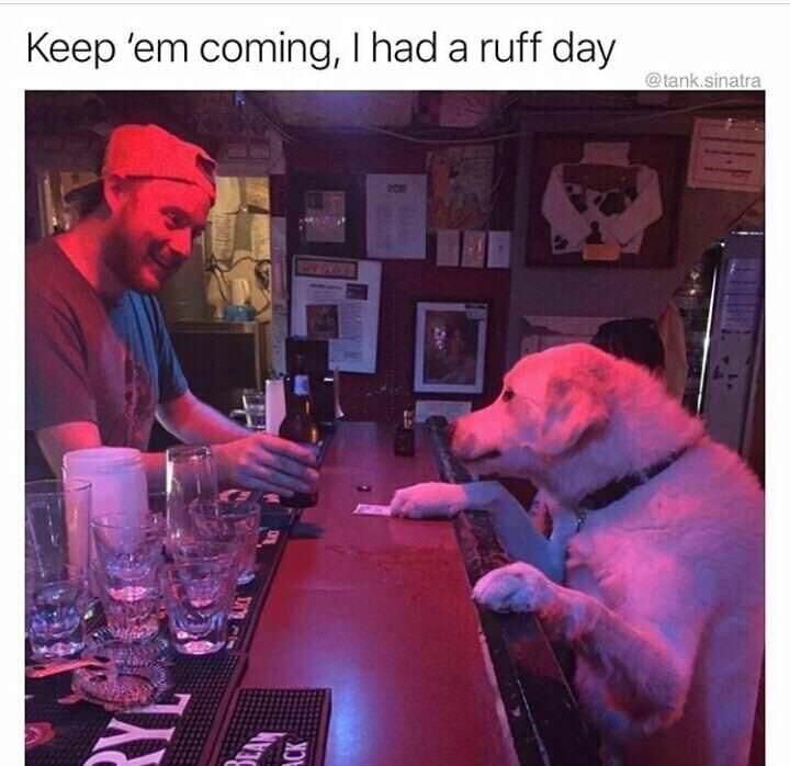 ye-ack-keep-em-coming-had-ruff-day-tanksinatra