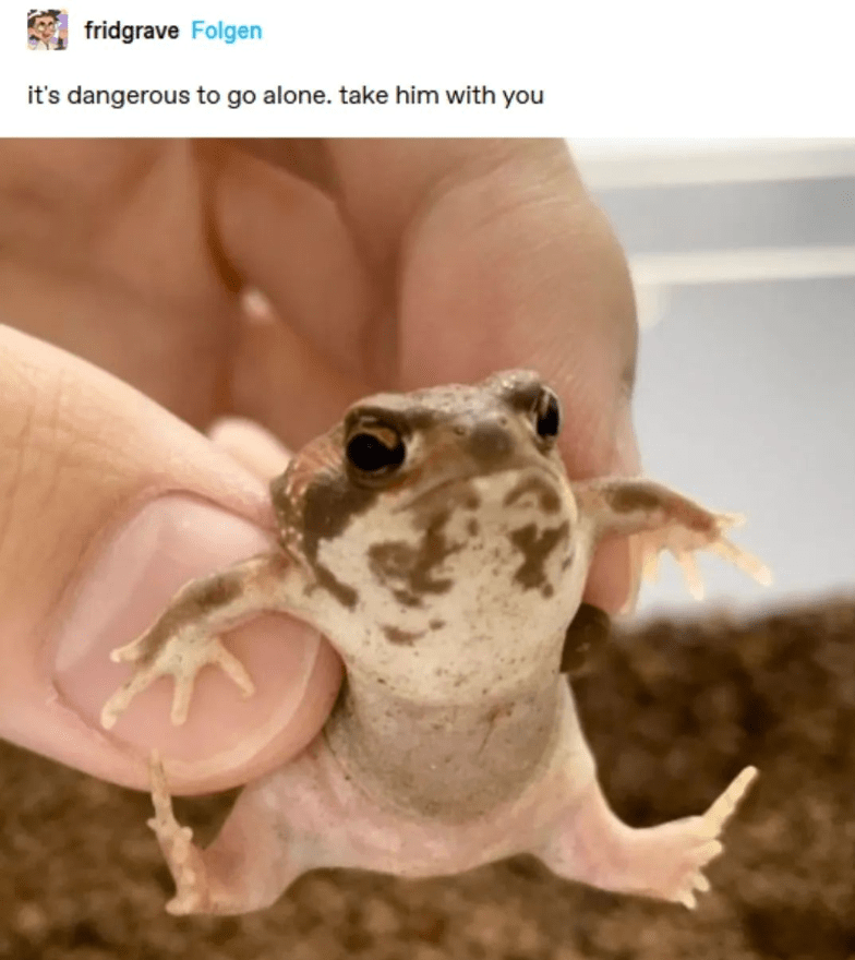 fridgrave-folgen-s-dangerous-go-alone-take-him-with