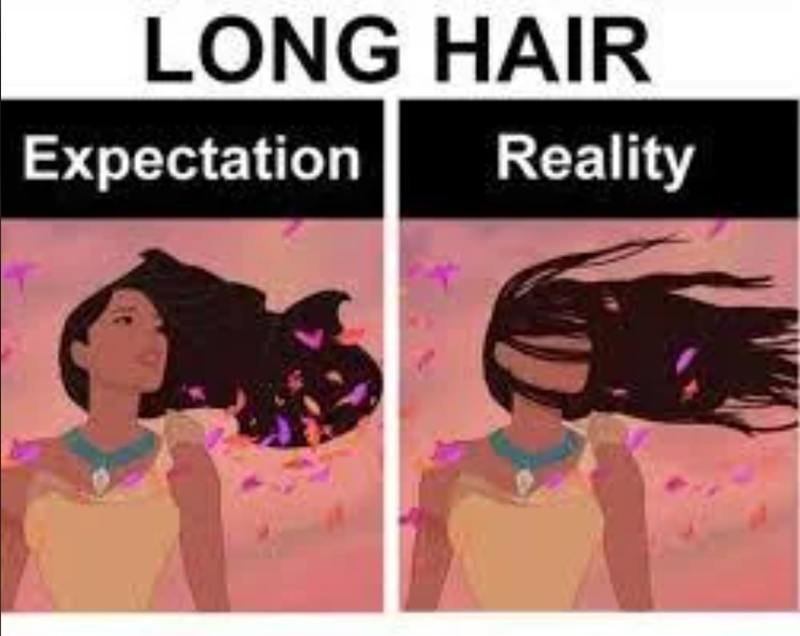 long-hair-expectation-reality