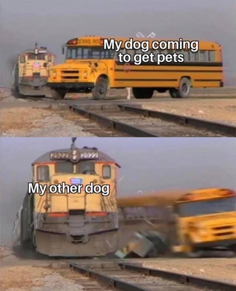 2922-my-dog-coming-get-pets-my-other-dog