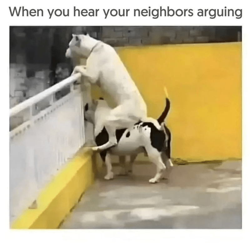 hear-neighbors-arguing