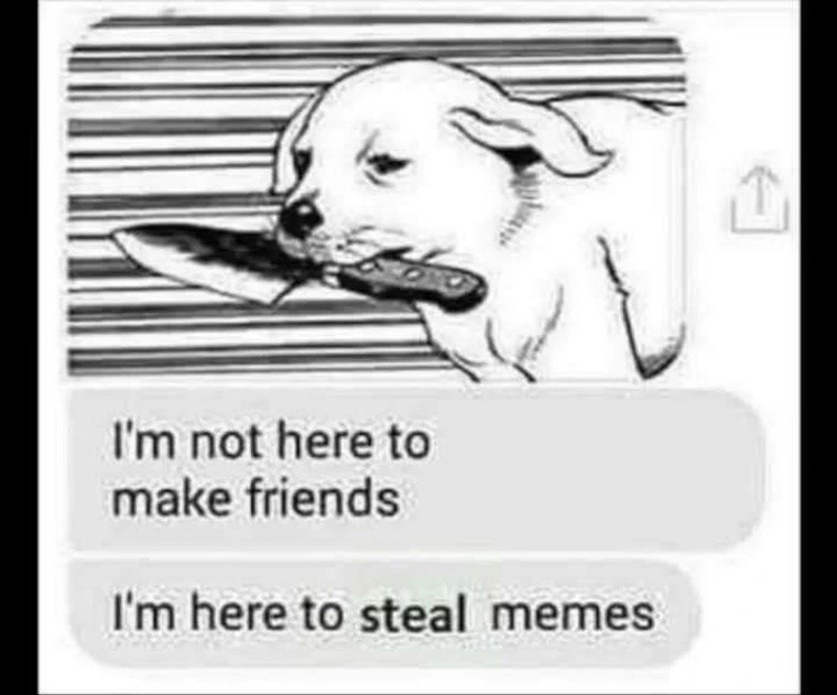 not-here-make-friends-here-steal-memes