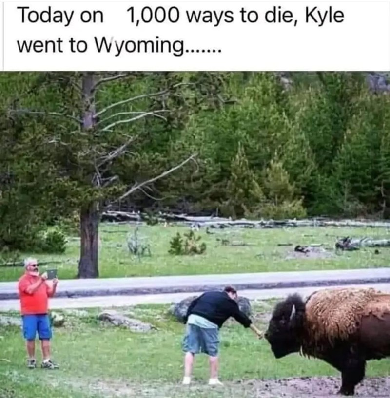 today-on-1000-ways-die-kyle-went-wyoming