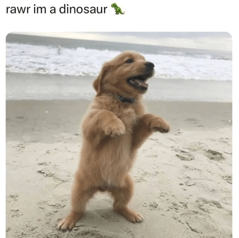 rawr-im-dinosaur