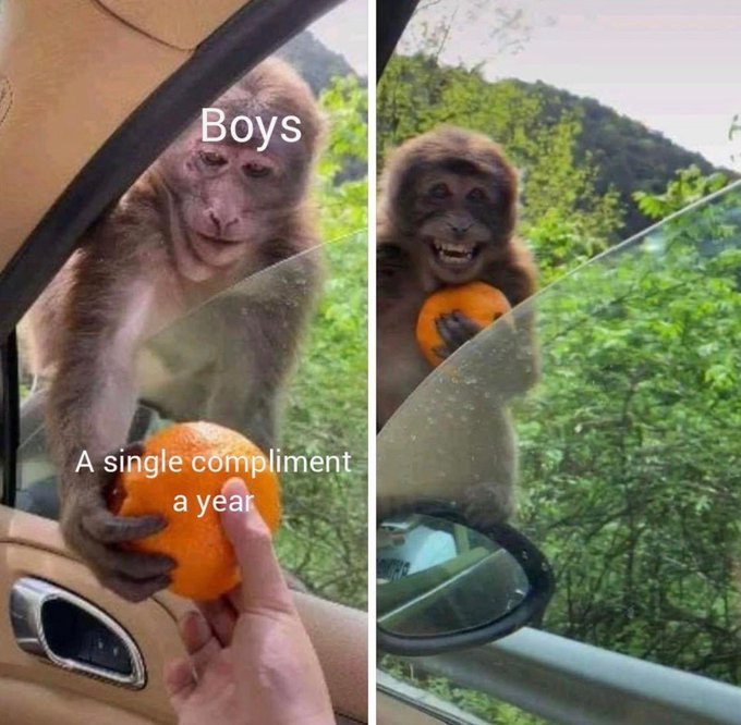 boys-single-compliment-year