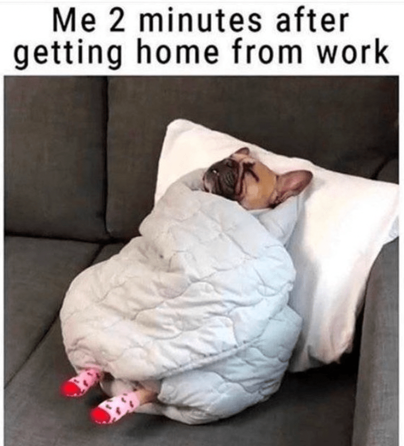 2-minutes-after-getting-home-work