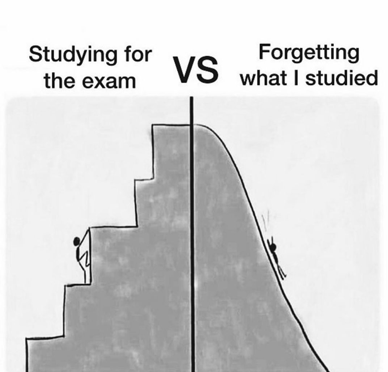 studying-exam-forgetting-vs-studied