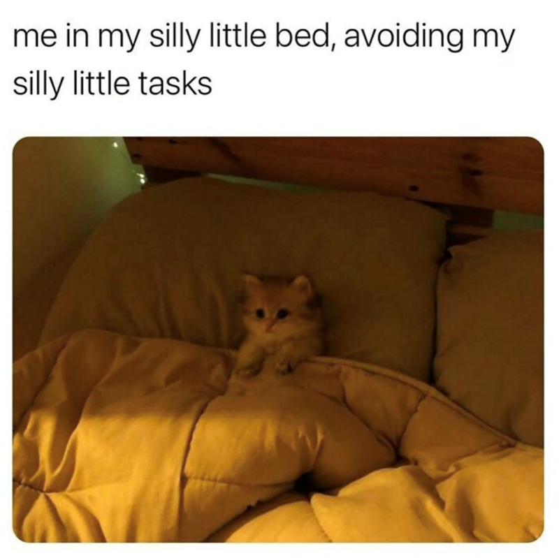 my-silly-little-bed-avoiding-my-silly-little-tasks