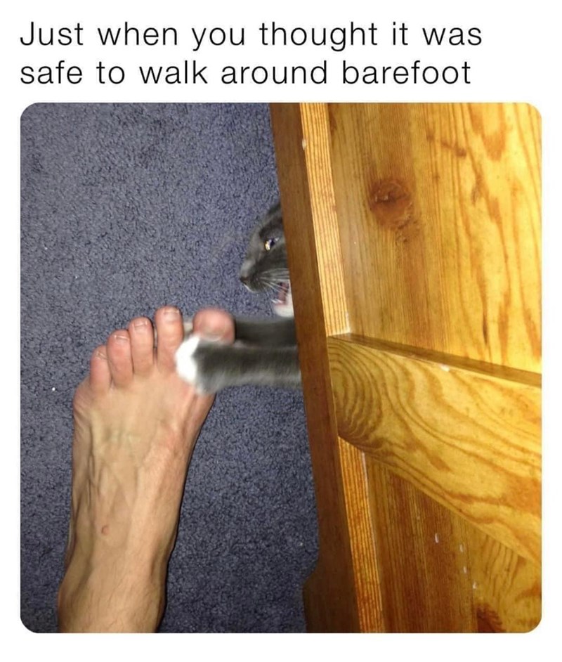 just-thought-safe-walk-around-barefoot
