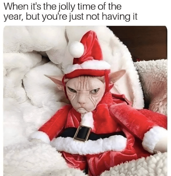 s-jolly-time-year-but-just-not-having