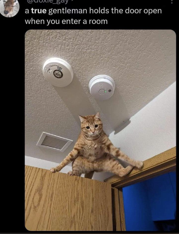 true-gentleman-holds-door-open-enter-room