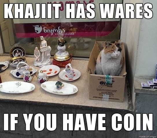 khajiit-has-wares-if-have-coin-made-on-imgur
