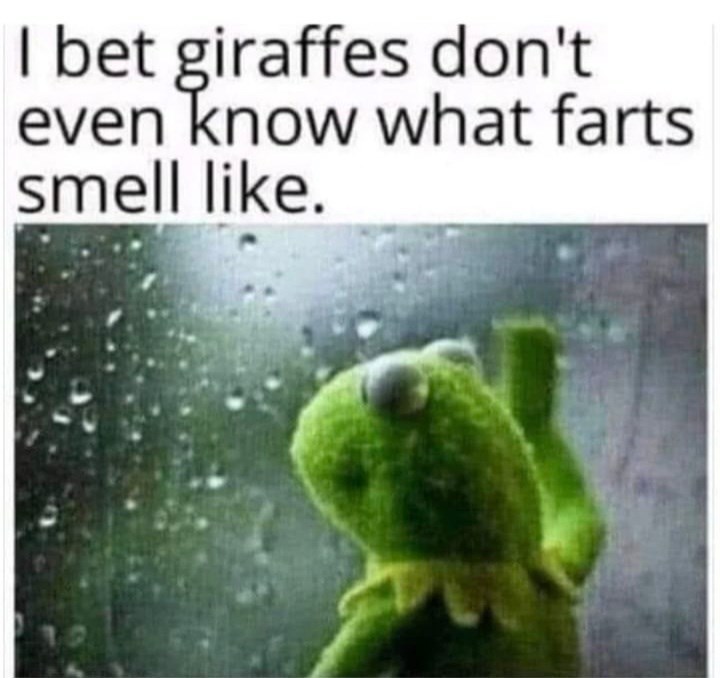 bet-giraffes-dont-even-know-farts-smell-like