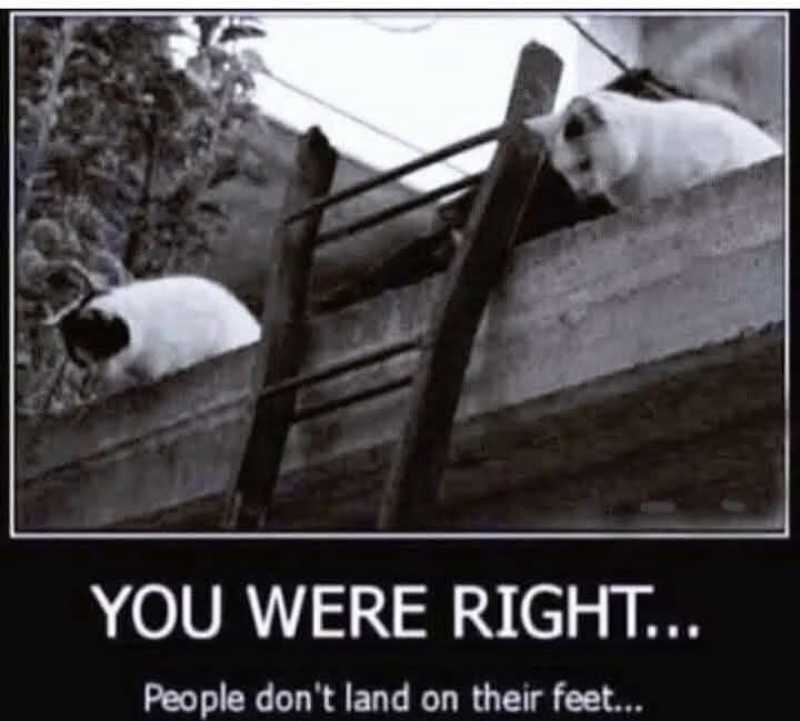 were-right-people-dont-land-on-their-feet