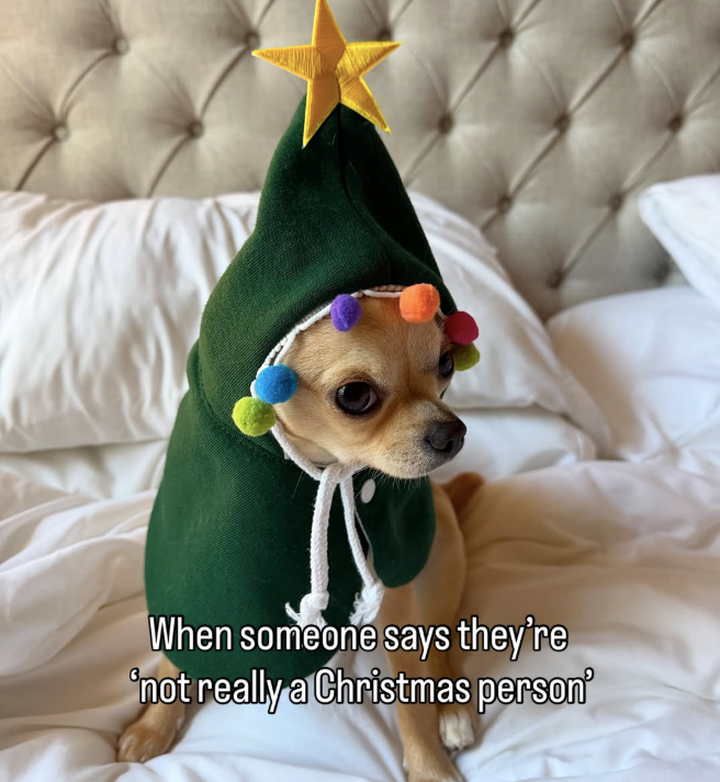 someone-says-theyre-not-really-christmas-person