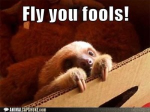 fly-you-sloth-300x224.jpeg