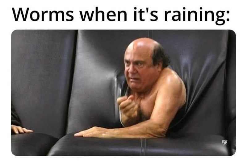 worms-s-raining-r
