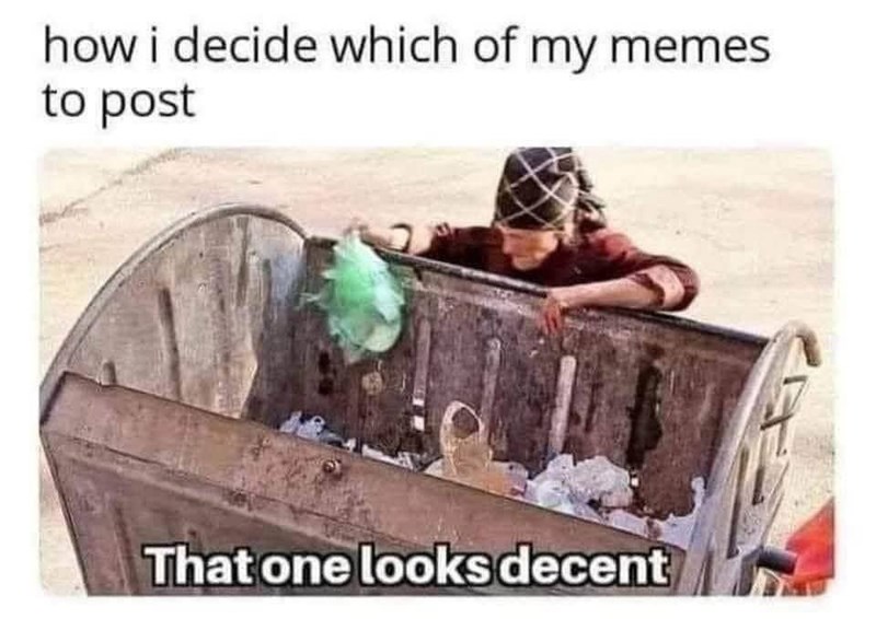 decide-which-my-memes-post-one-looks-decent