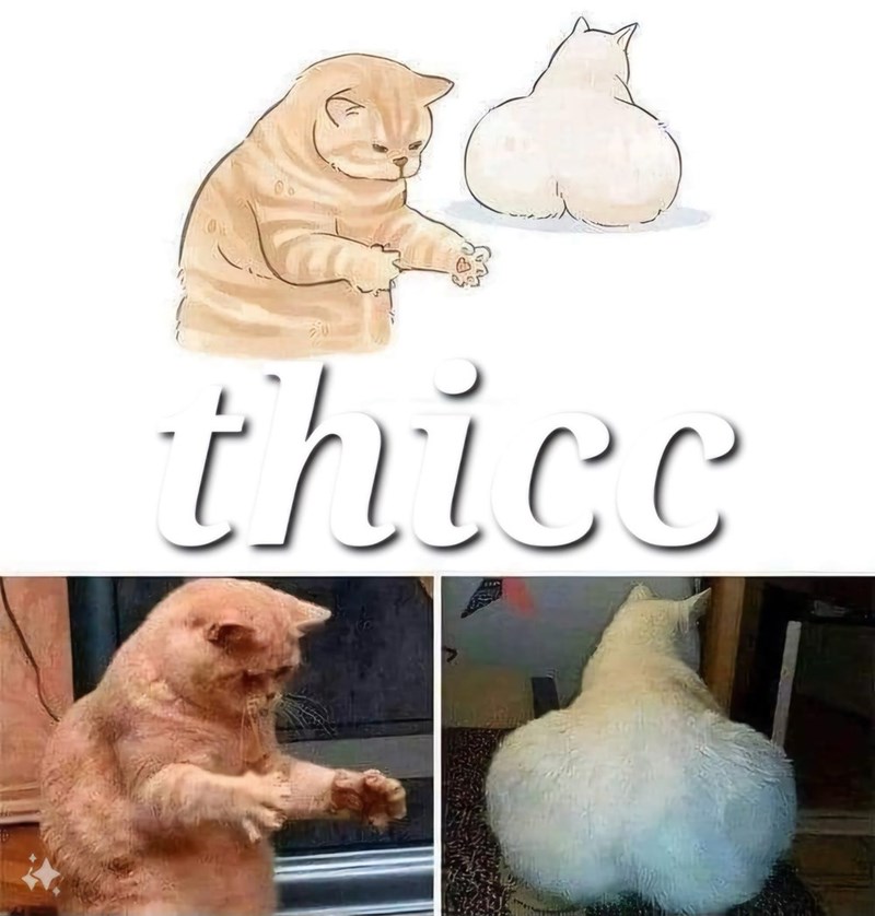 thicc