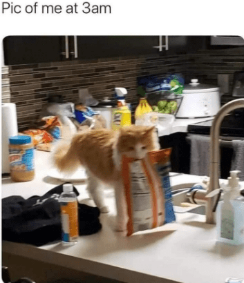 pic-at-3am