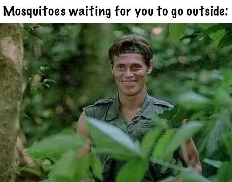 mosquitoes-waiting-go-outside