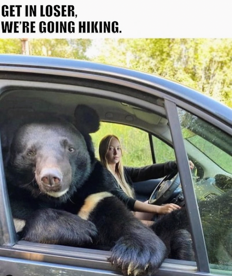 get-loser-going-hiking