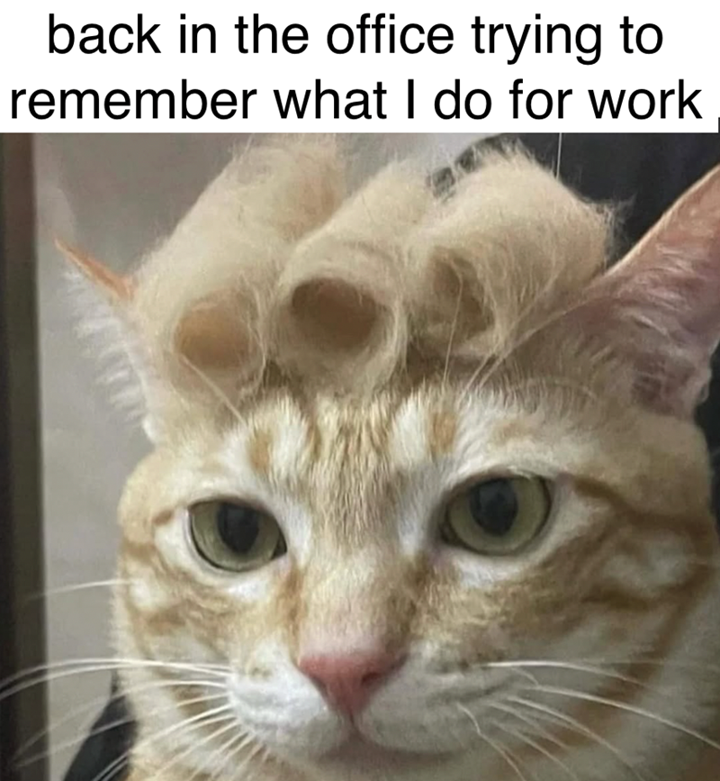 back-office-trying-remember-do-work