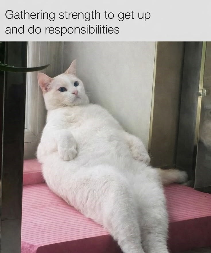 gathering-strength-get-up-and-do-responsibilities