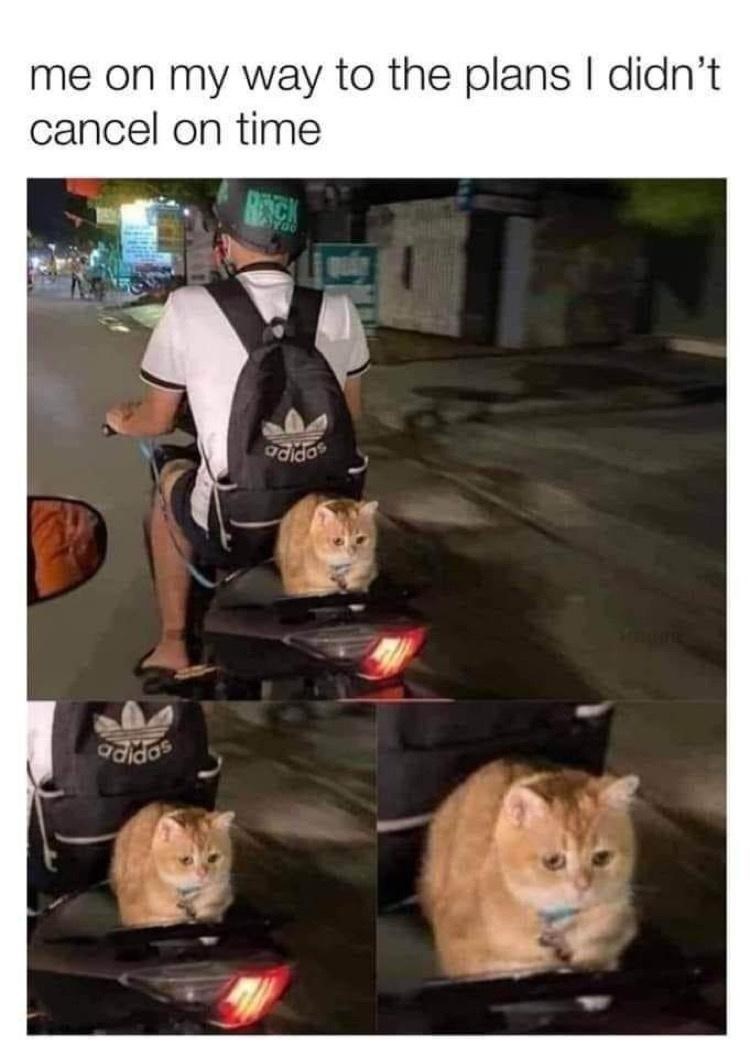 on-my-way-plans-didnt-cancel-on-time-adidas-adidas