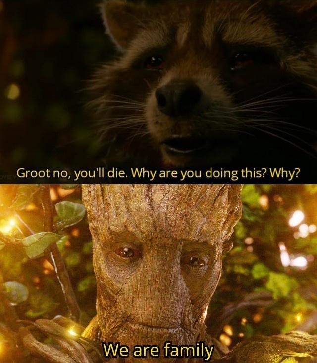groot-no-die-why-are-doing-this-why-are-family