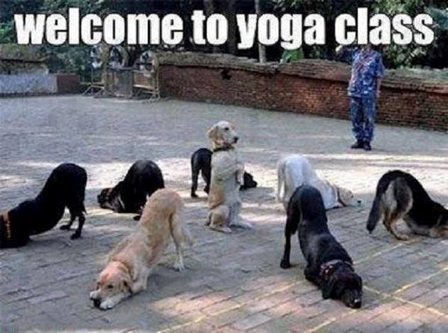 welcome-yoga-class