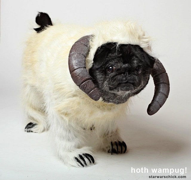 star-wars-wampa-dog-costume.jpg