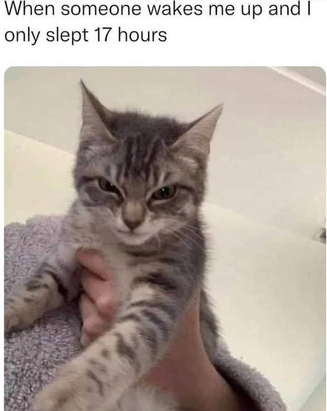 someone-wakes-up-and-only-slept-17-hours