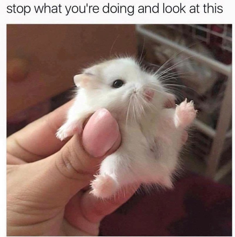 stop-doing-and-look-at-this