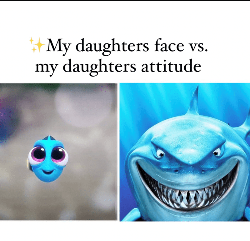 my-daughters-face-vs-my-daughters-attitude