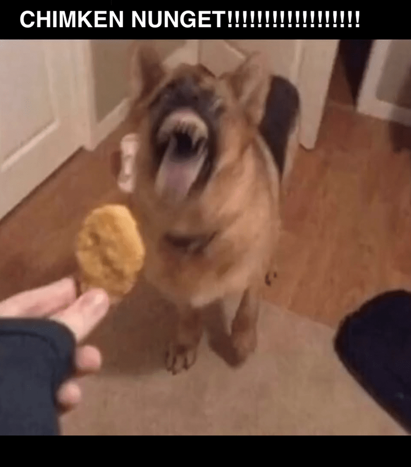 chimken-nunget