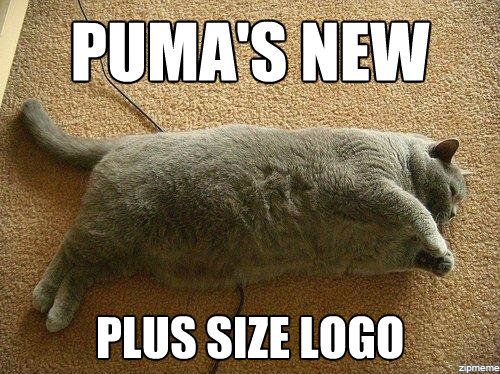 puma.jpg
