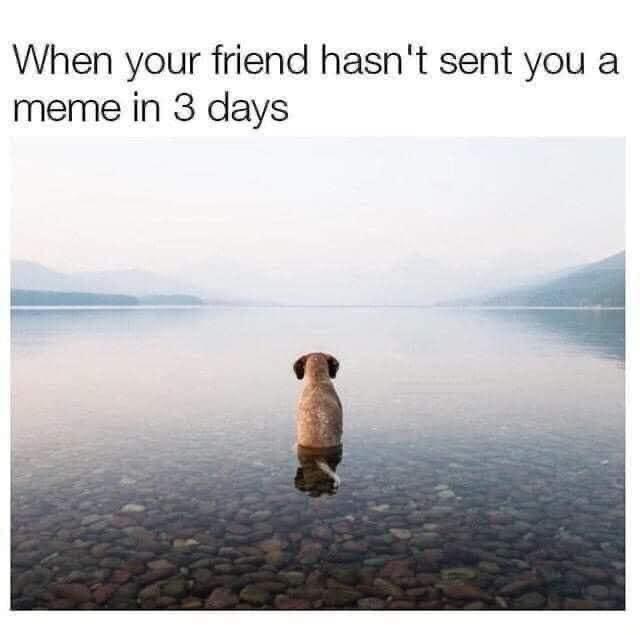 friend-hasnt-sent-meme-3-days