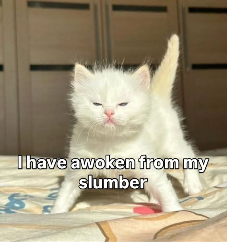 have-awoken-my-slumber