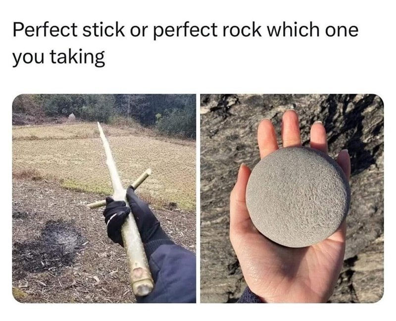 perfect-stick-or-perfect-rock-which-one-taking