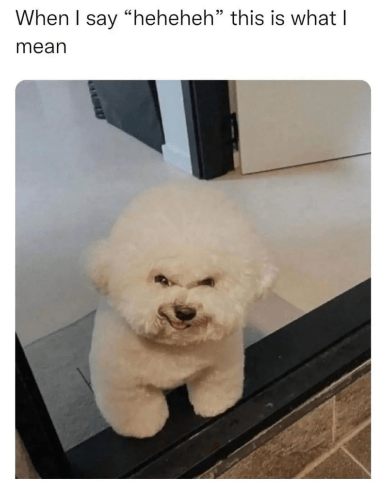 say-heheheh-this-is-mean