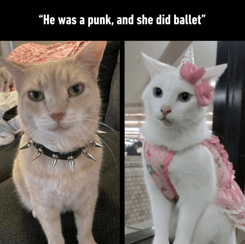 he-punk-and-she-did-ballet