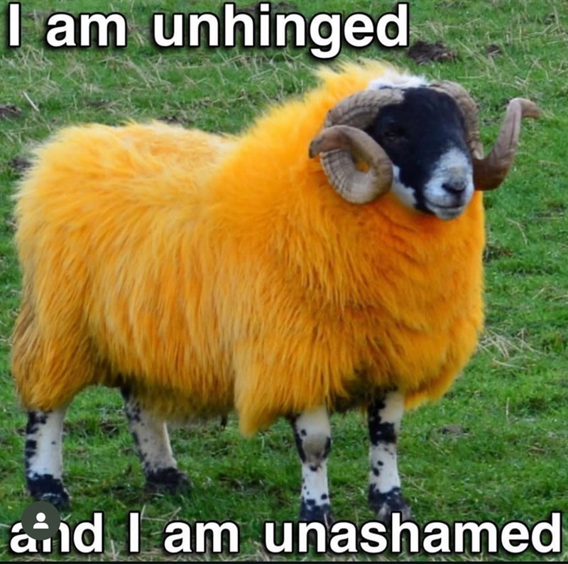 am-unhinged-and-am-unashamed