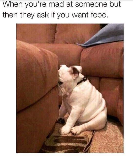 mad-at-someone-but-then-they-ask-if-want-food